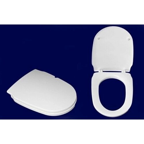 Сиденье для унитаза с микролифтом Orsa Fiore FIO000201