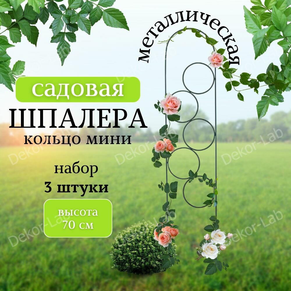 Шпалера для растений Мини-Кольцо 70 см 3 шт Железная и крепкая для роз шпалера для цветов вьющихся растений