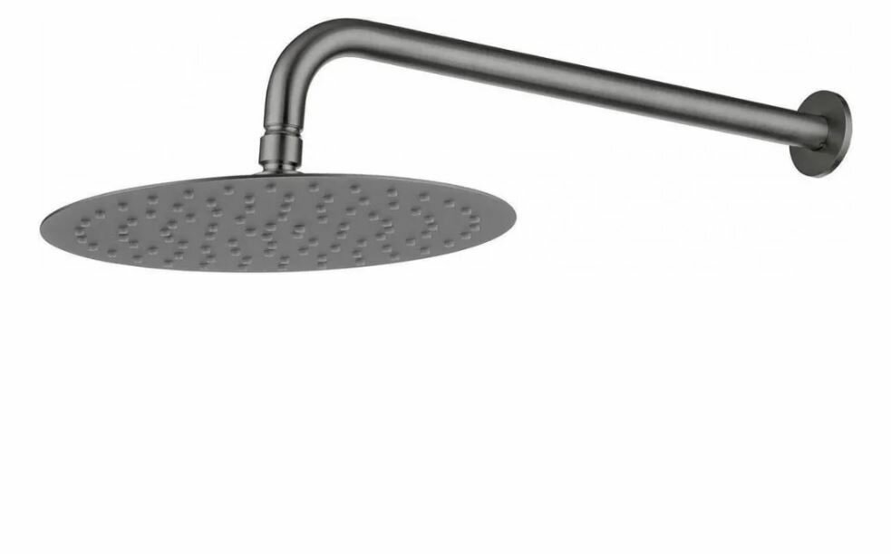 Верхний душ Allen Brau Priority 5.31A17-MG графит браш