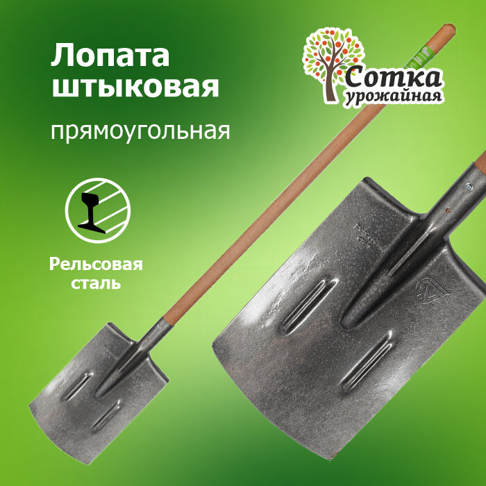 Лопата садовая штыковая ЛКП рельсовая сталь `Урожайная сотка` прямоугольная с ребрами жесткости с деревянным черенком