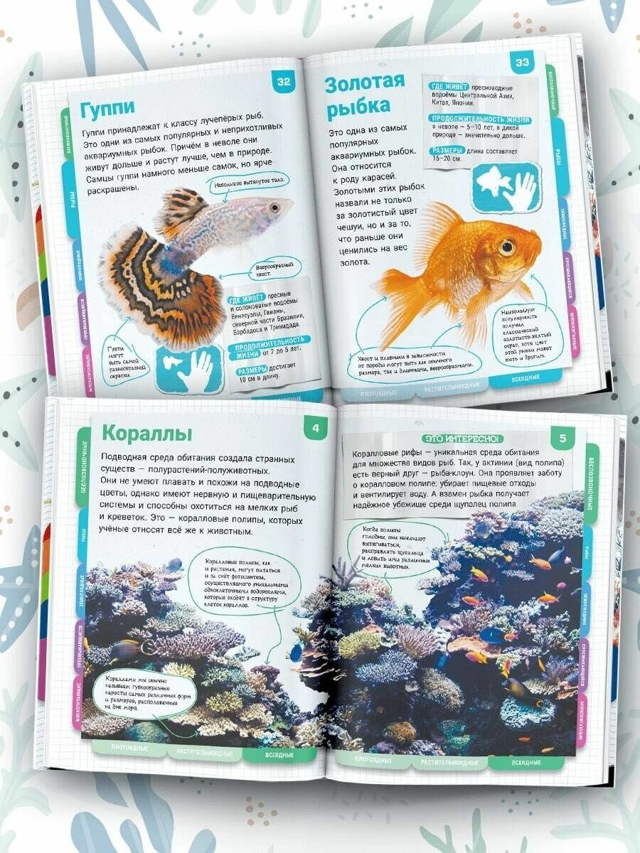Подводный мир (Спектор Анна Артуровна, Ликсо Владимир Владимирович, Вайткене Любовь Дмитриевна, Закотина Мария Викторовна, Прудник Анастасия Александровна) - фото №12