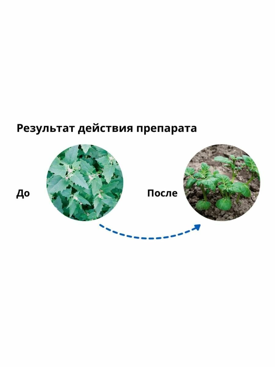 Гербицид Лазурит, СП (700 г/кг метрибузина) препарат от сорняков на картофеле 6 шт по 10 г — фото 1