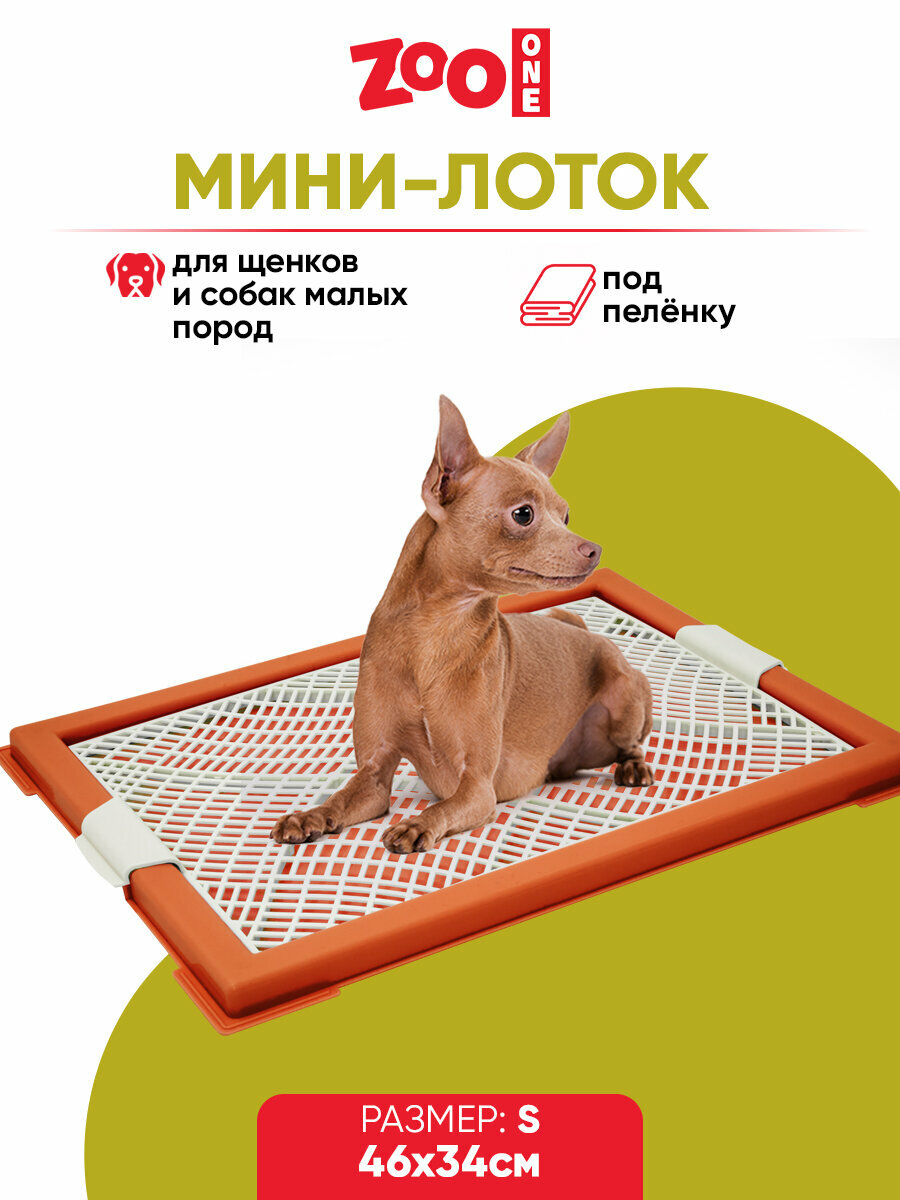 Туалет лоток для собак ZooOne "Мини" с сеткой 46*34*2,5 см, коричневый + белый, P104-02