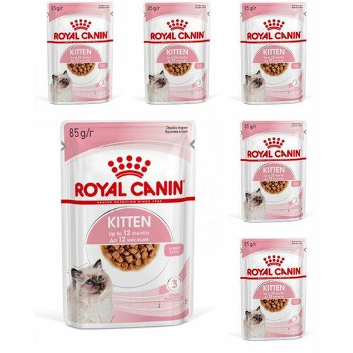 Royal canin kitten Пауч соус влажный корм для котят, в возрасте до 12 месяцев, 85 гр, 6 шт