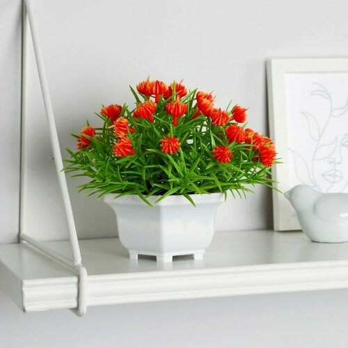 SUI Бонсай в горшке Портулак кустовой 11х14 см микс 986₽