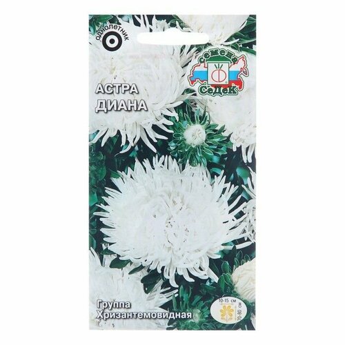Семена цветов Астра, Диана, Евро, 0,2 г ( 1 упаковка )
