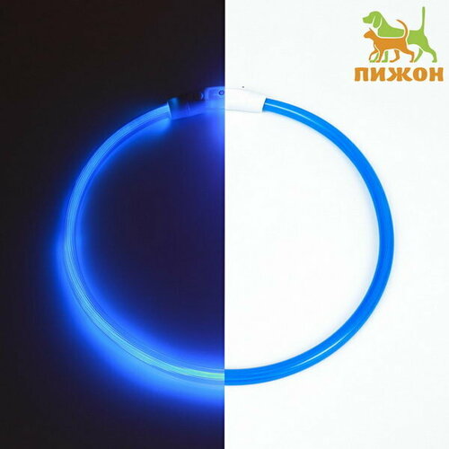 Ошейник - кольцо с подсветкой, зарядка от USB, до 70 см, 3 режима свечения, голубой ошейник кольцо с подсветкой зарядка от usb до 70 см 3 режима свечения голубой