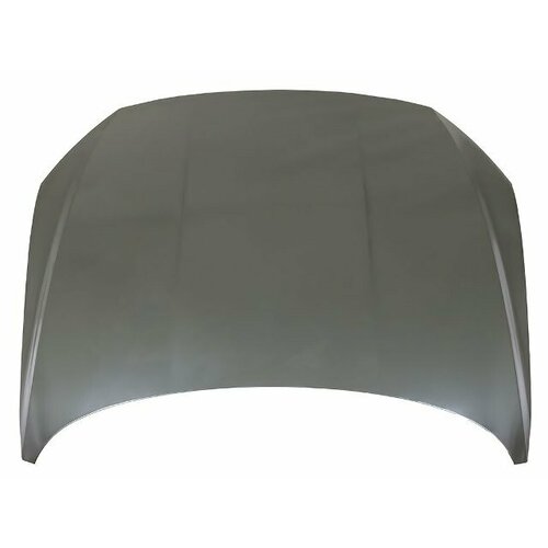 Капот SAILING VWL03204343 для Volkswagen Polo VI CK4 2020-н в 29885₽