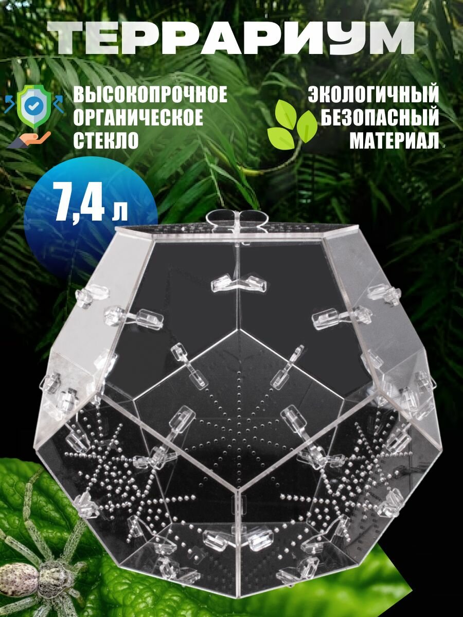 Террариум Для Рептилий 30*24*24