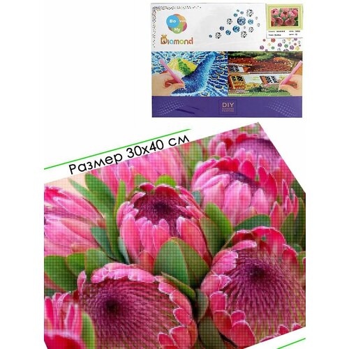 Алмазная мозаика на подрамнике 30х40 круглые стразы 74900 1045₽