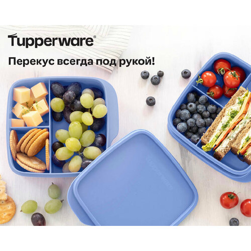 Контейнер с разделителем 550 мл Tupperware синий, фиолетовый, лавандовый