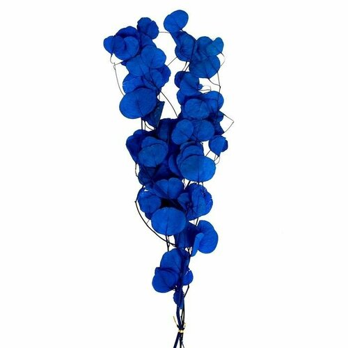 Сухоцвет персикого дерева 50 гр длина 70 см цвет синий 1910₽