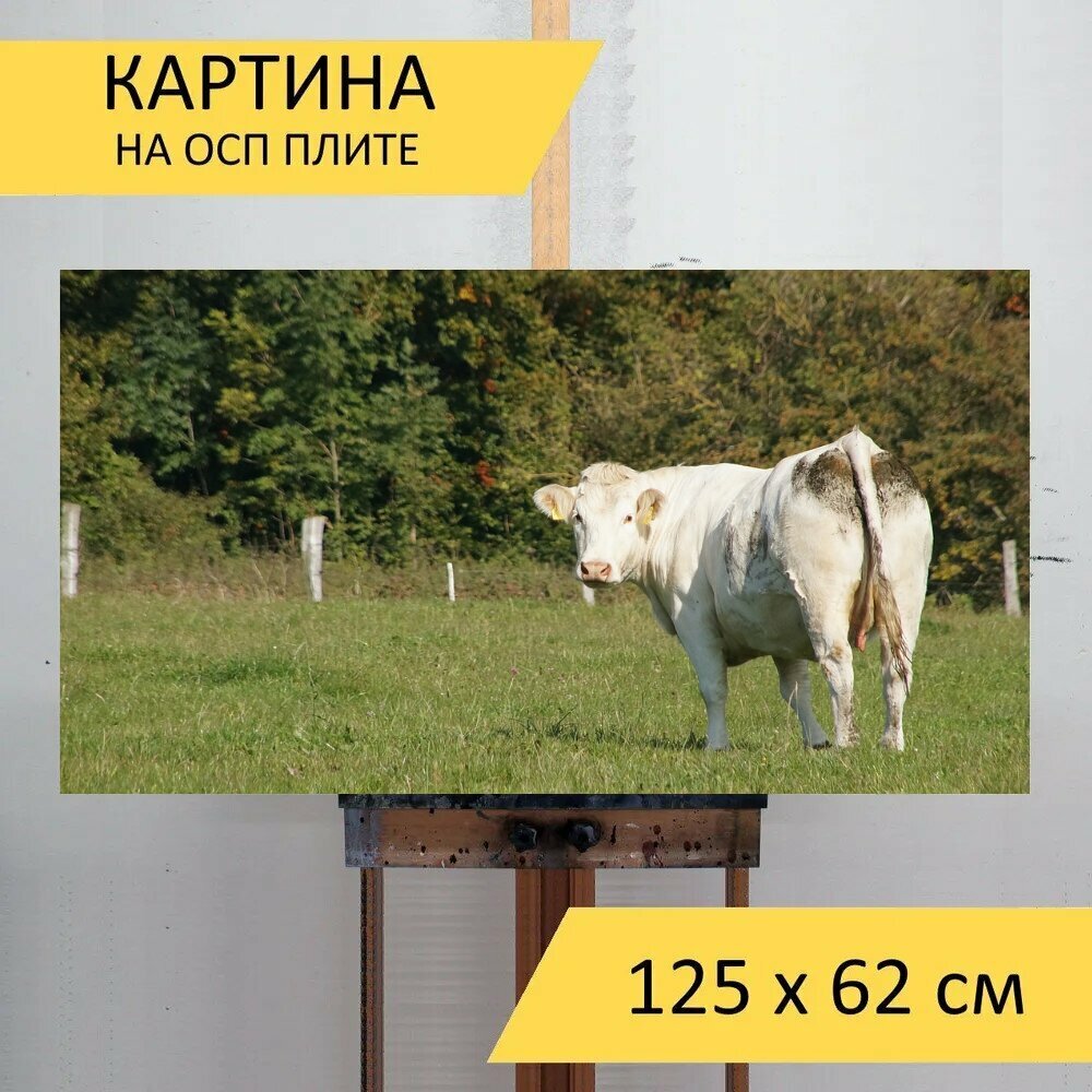 Картина на ОСП "Корова, животное, бычий" 125x62 см. для интерьера на стену