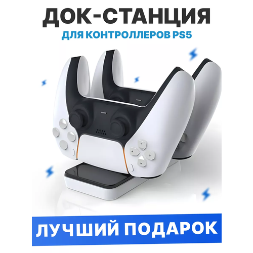 Тестовый образец док станция для контроллеров playstation 5(Картинка)