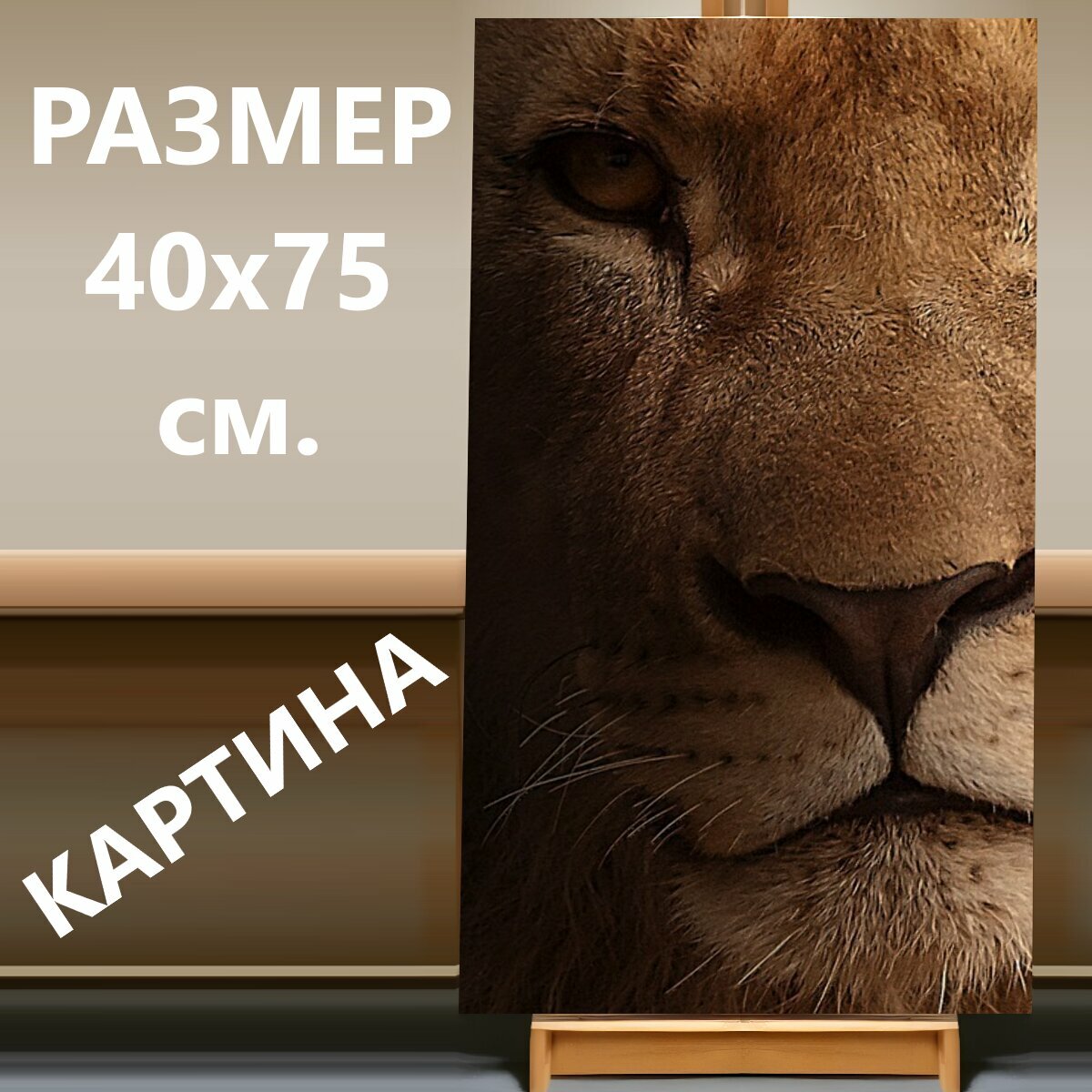 Картина на холсте "Лев, портрет, портрет животных" на подрамнике 40х75 см. для интерьера