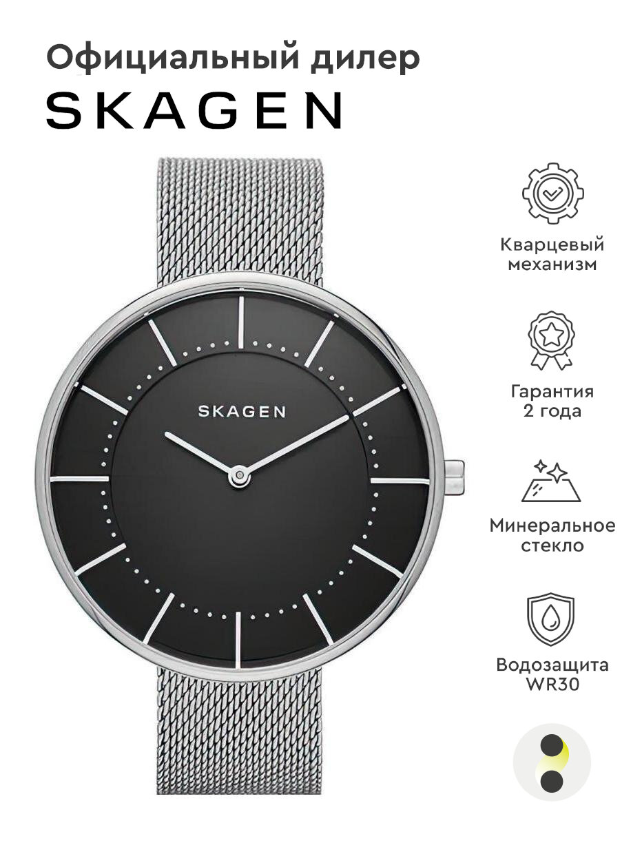 Наручные часы SKAGEN Mesh SKW2561, черный