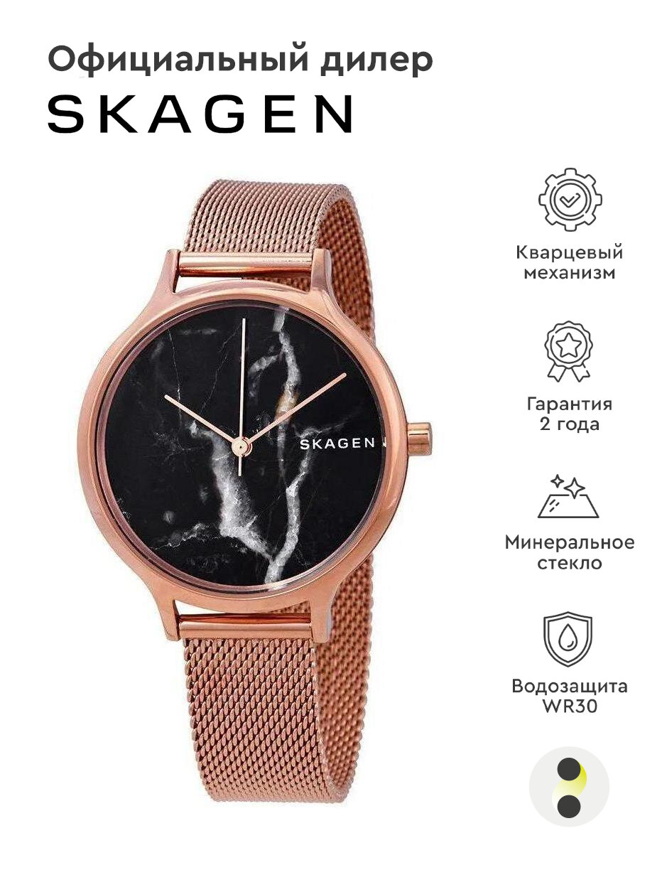 Женские наручные часы Skagen Steel Women SKW2721