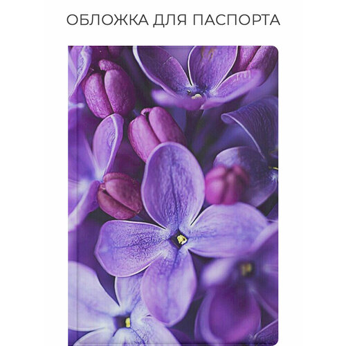 фото Обложка для паспорта bestluck, фиолетовый, черный