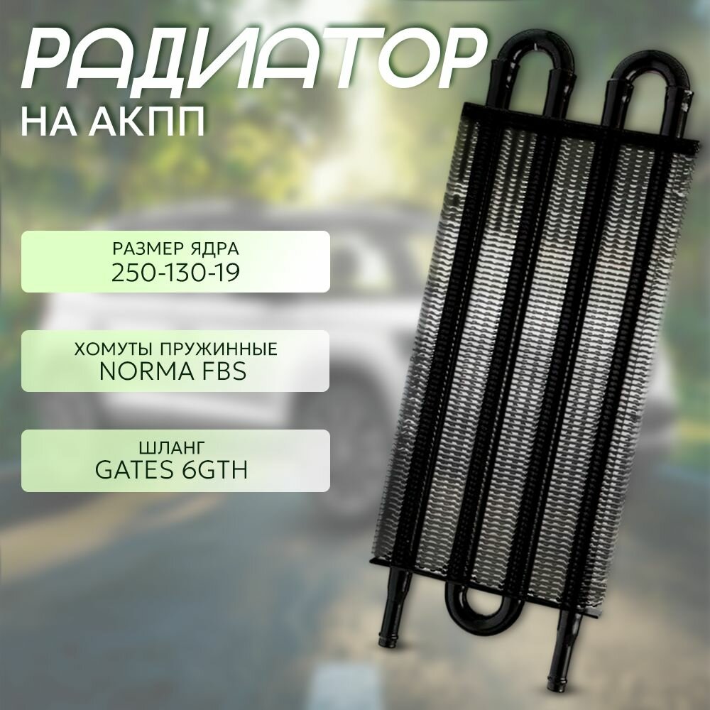 Радиатор АКПП 250-130-19 4 ряда черный (шланг Gates + хомуты Norma)