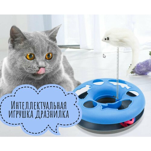 Интерактивная игрушка для кошек. Дразнилка для кошек с игровой мышкой Голубая