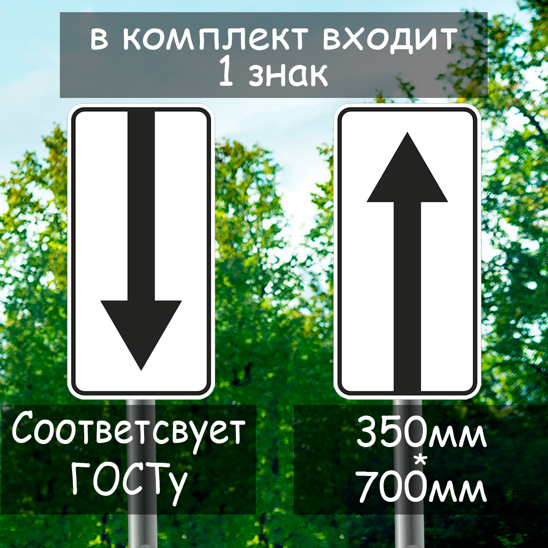 Дорожный знак "направление действия" 700*350 мм