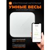 Фото Xiaomi Mi Body Composition Scale 2