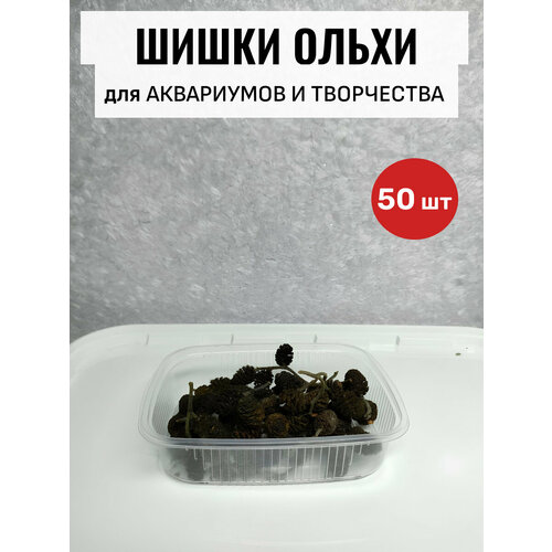 Шишки ольховые для аквариума и декора, 50 штук
