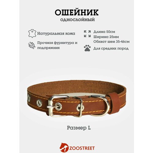 Ошейник для собак средних пород кожаный, однослойный, 25мм, 50см, с подпряжником L