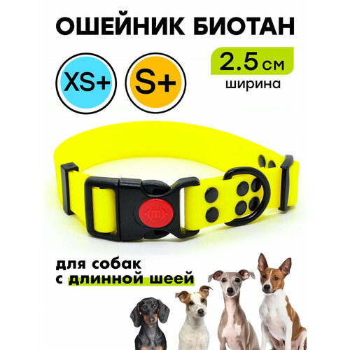 Ошейник из биотана 22-34 см (XS+), 25 мм , Woofy "Iron", для маленьких собак, водостойкий, желтый