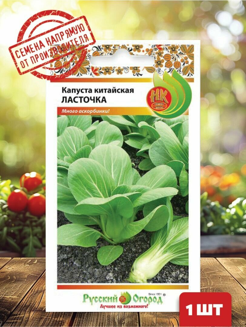 Семена Капуста китайская Ласточка