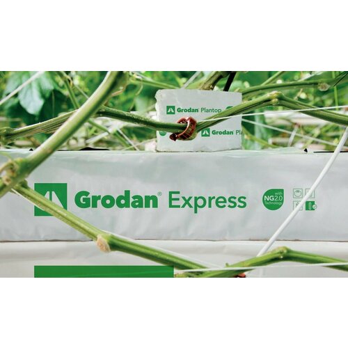 Минеральная вата под рассаду/ мат для растений Grodan Prestige 100х19.5х7.5 см.