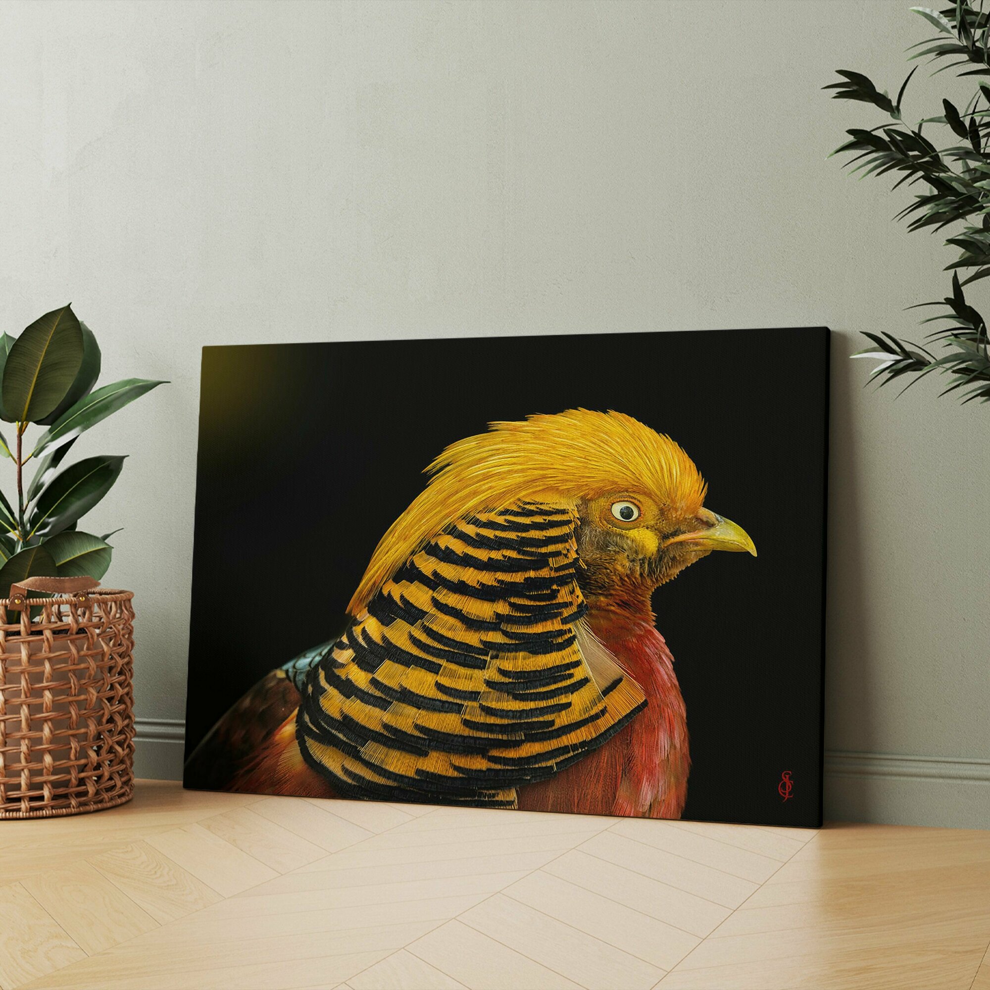 Картина на холсте (фазан золотой chrysolophus pictus golden pheasant zlat baant) 50x70 см/для интерьера/в комнату/на стену/в подарок