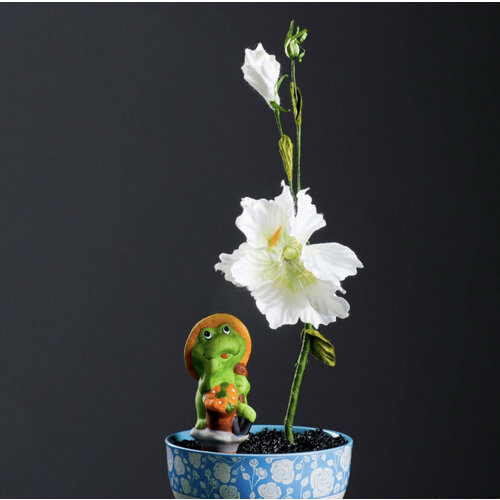 12 штук оросителей для домашних растений 