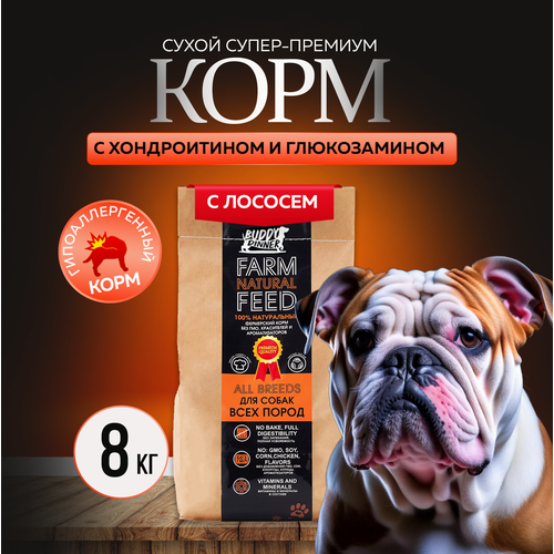 Сухой корм для собак крупных и средних пород Buddy Dinner Orange Line Hypoallergenic с лососем 8 кг