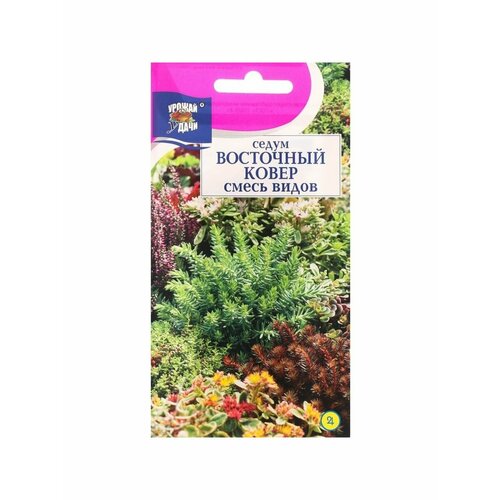 Семена цветов Урожай удачи Седум Восточный ковер, смесь семена тыква катай валяй 2 г урожай удачи