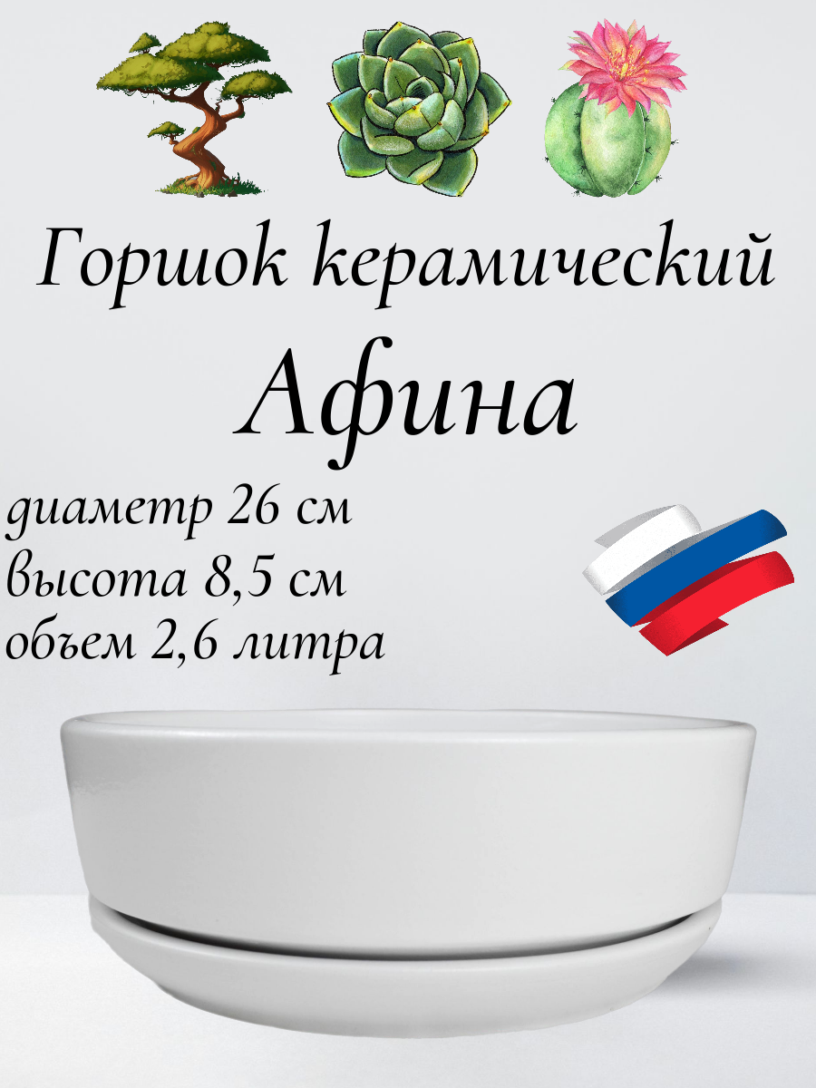 Керамический горшок "Бонсай - Афина" для бонсай, кактусов и суккулентов, диаметр 26, высота 8,5 см, белый