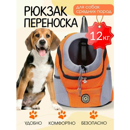 Рюкзак переноска для кошек собак