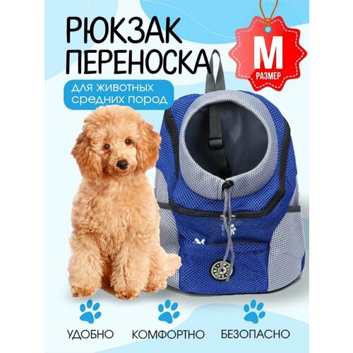 Рюкзак переноска для собак и кошек синяя