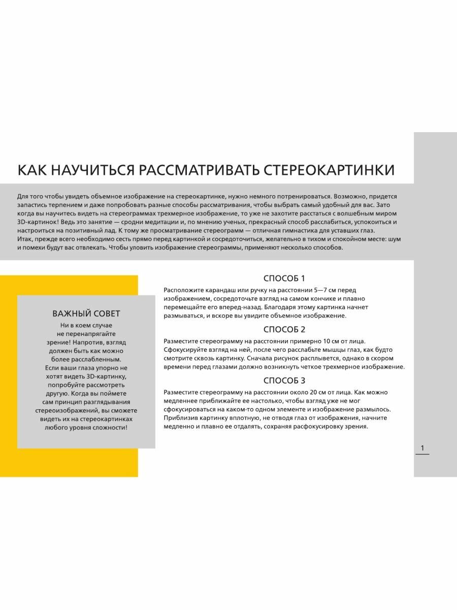 Магический глаз. 75 стереограмм. Тренировка и восстановление зрения - фото №14