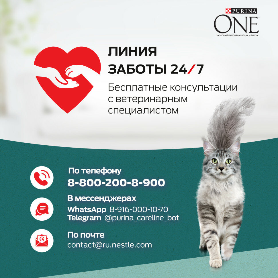 Сухой корм для кошек Purina One Dual Nature Adult с курицей 0,18 кг - фото №6