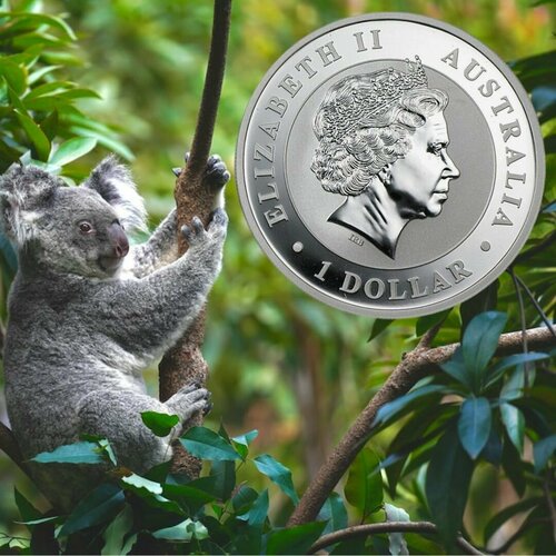 Серебряная монета 1 доллар Коала. Австралия. 2012 г.