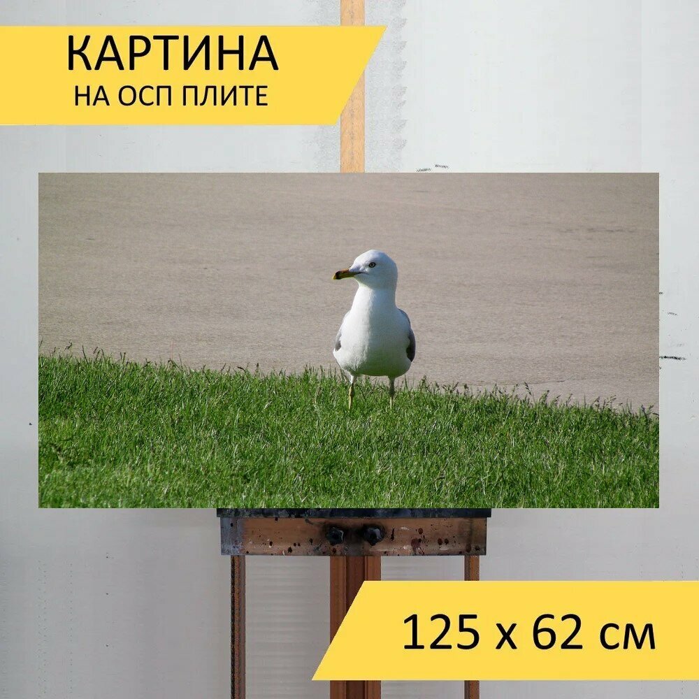 Картина на ОСП "Птица, дикая природа, природа" 125x62 см. для интерьера на стену