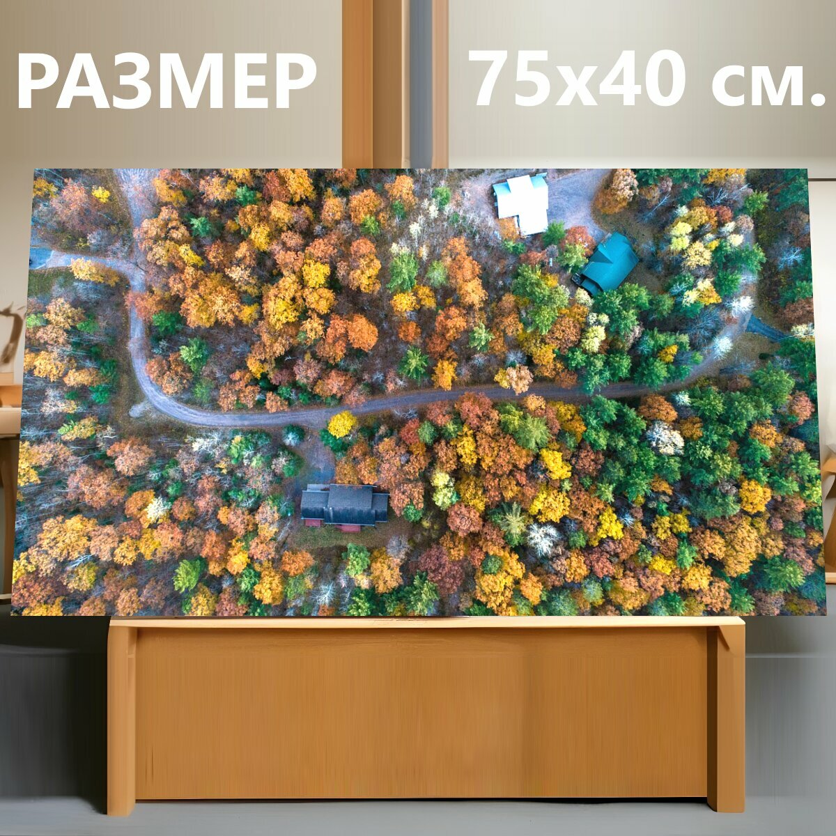Картина на холсте "Дорога, вид сверху фото, дерево фото" на подрамнике 75х40 см. для интерьера