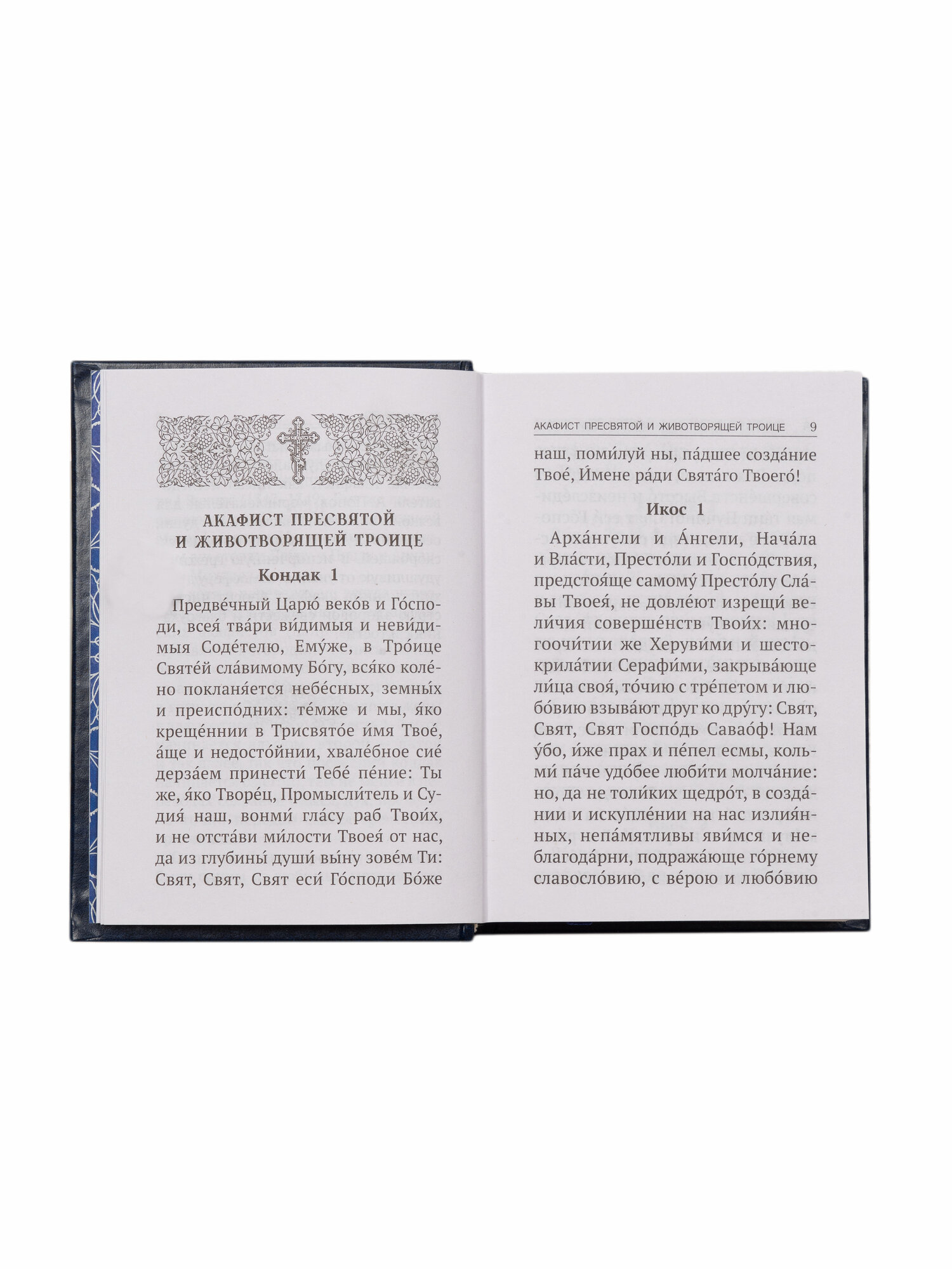 Акафисты читаемые в болезнях, скорбях и особых нуждах - фото №8