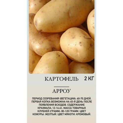 красный, бордовый