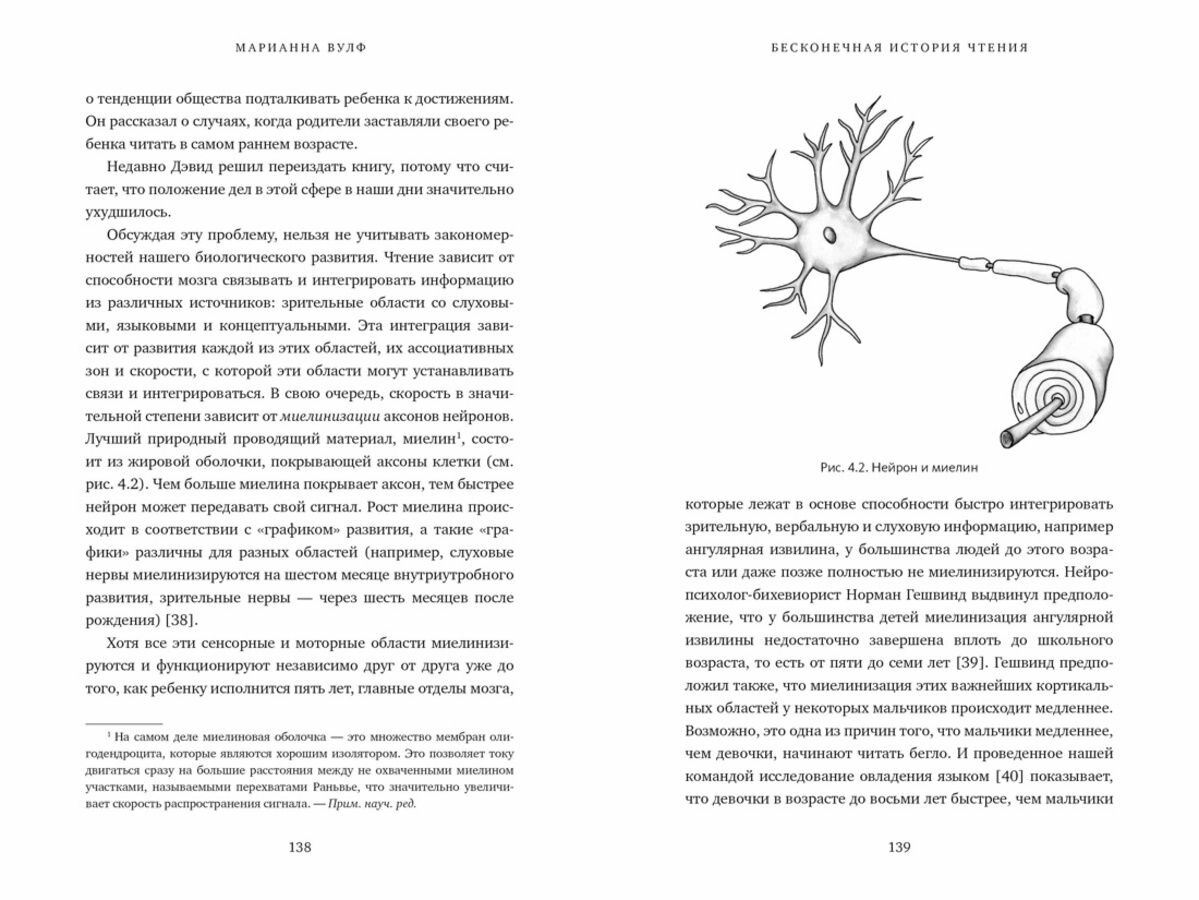 Бесконечная история чтения: Пруст, кальмар и наука о читающем мозге - фото №10