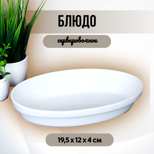 Блюдо сервировочное GALEONTRADE размеры 20х12х4 см фарфор цвет белый 420₽