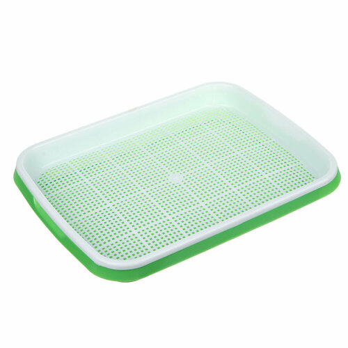 INBLOOM Проращиватель семян и микрозелени 33х25х4см PP 10 штук 2613₽