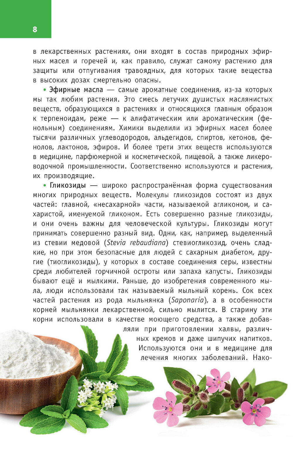 Лекарственные растения России (Филин Алексей Николаевич) - фото №14