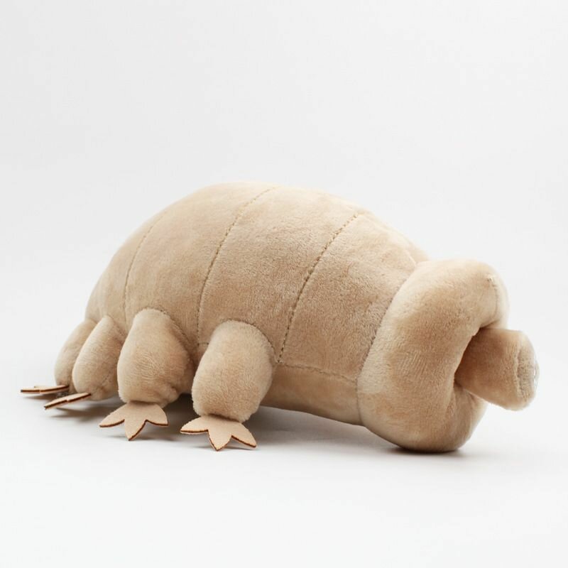 Мягкая игрушка Тихоходка (Tardigrade) 23 см — фото 1